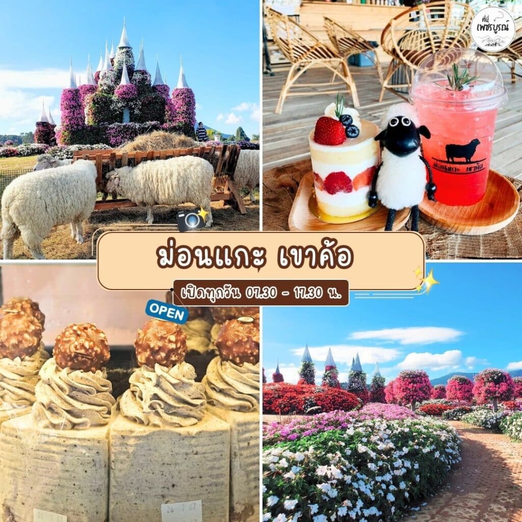 ม่อนแกะ เขาค้อ