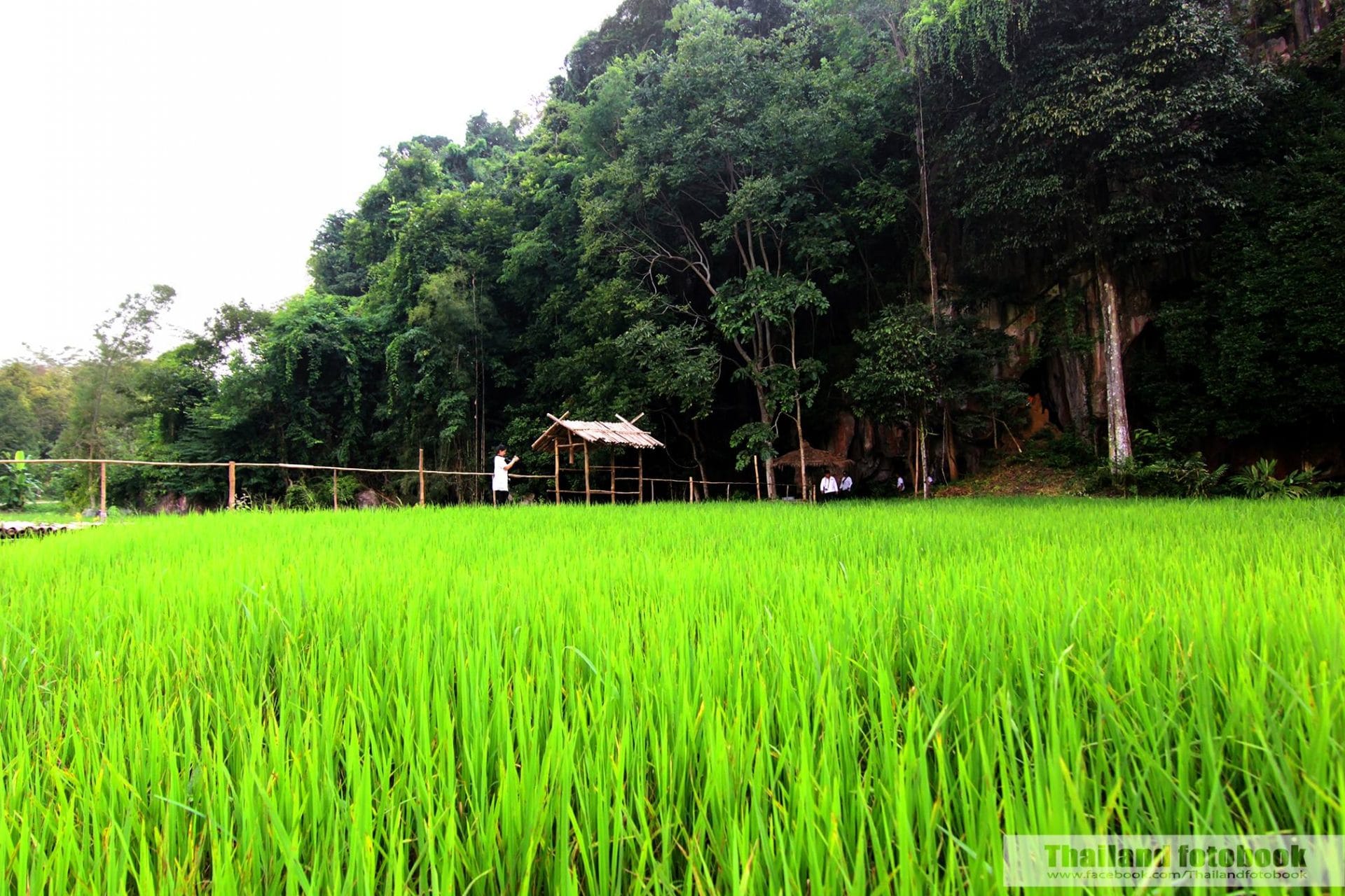 ผาเจ็ดสีและถ้ำปากเสือ