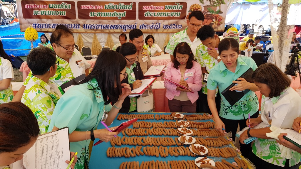 ประกวดมะขามหวาน