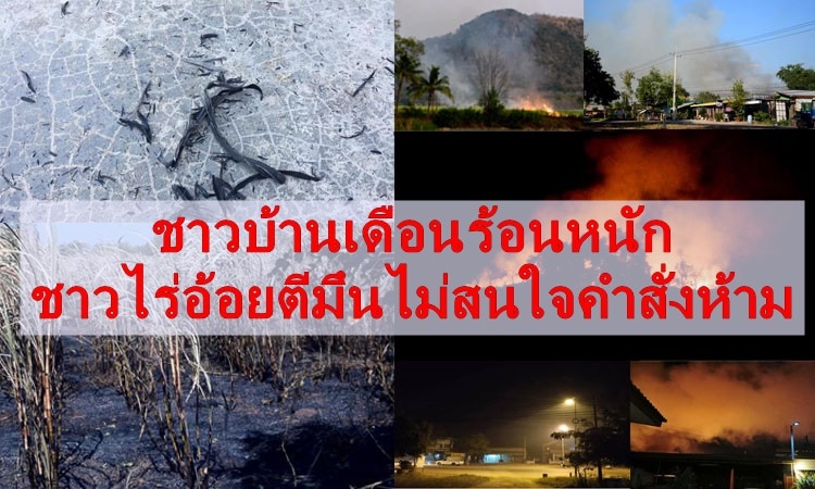 ไร่อ้อย