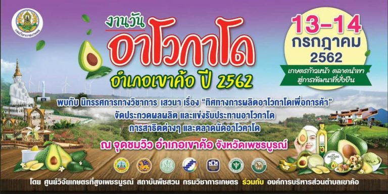 งานวันอาโวกาโด เขาค้อ 2562