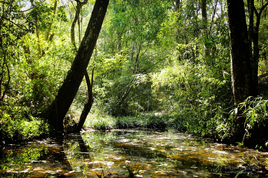 อุทยานแห่งชาติน้ำหนาว2