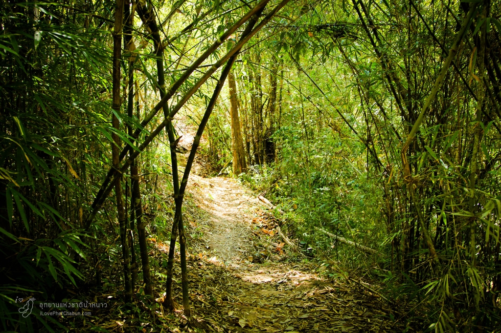 อุทยานแห่งชาติน้ำหนาว3