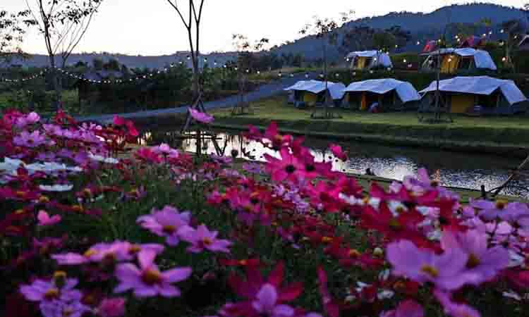 Creek Valley Khaokho (ครีกวัลเลย์ เขาค้อ)