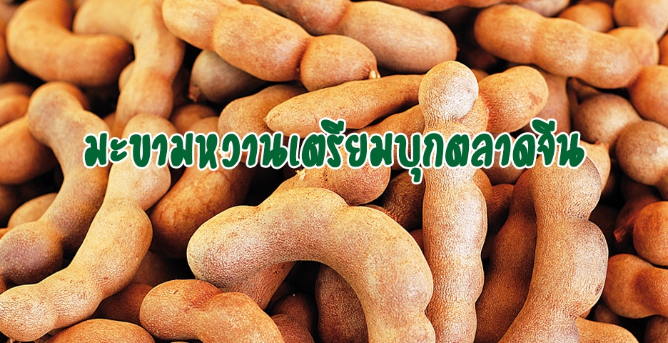 ส่งออกมะขาม