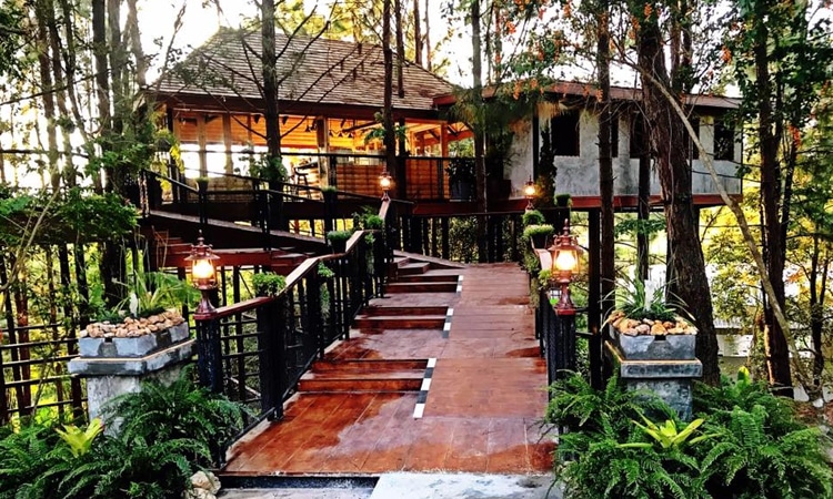 Cedar ป่าสน cafe’ at เขาค้อ