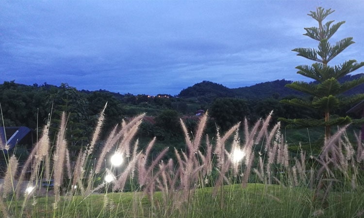 บ้านกลางรัก เขาค้อ