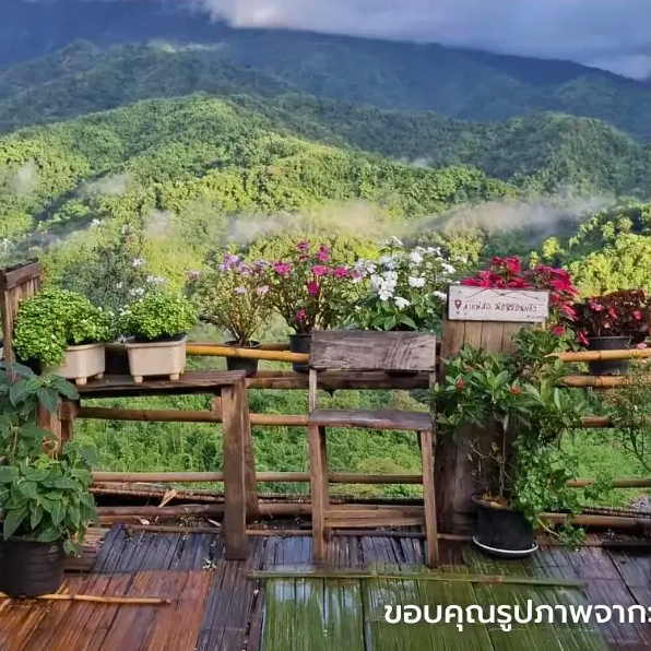 ม่อนซ่อนแก้ว ฟาร์มสเตย์แอนด์คาเฟ่ — มุม 3