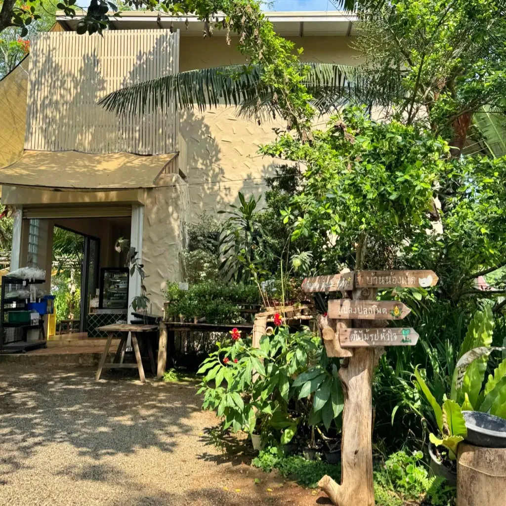 Cornily Corn Farm — มุม 2