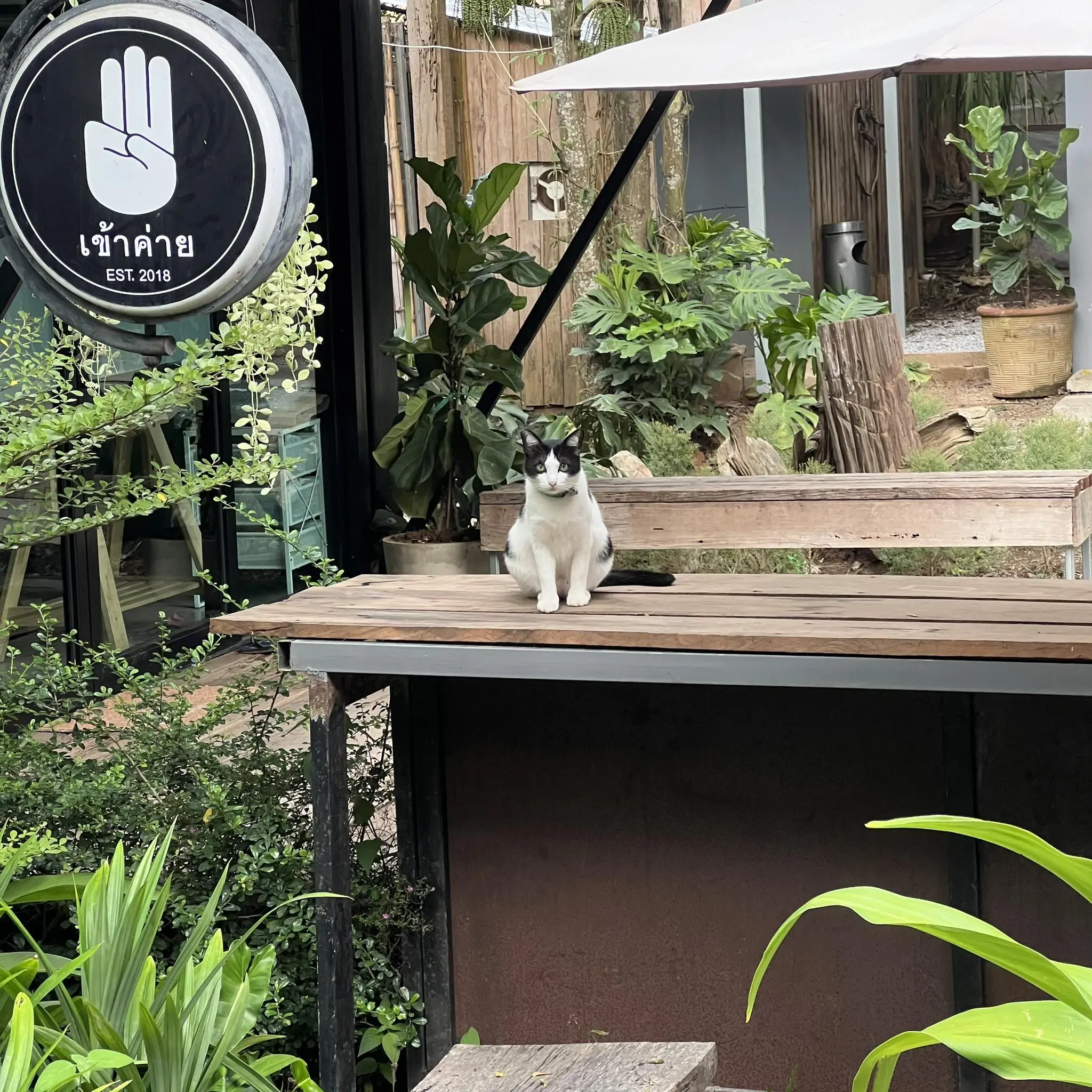 เข้าค่าย Café & Resort — มุม 2