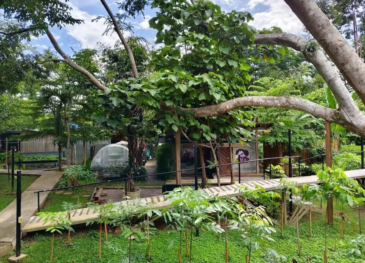 เข้าค่าย Café & Resort — มุม 3