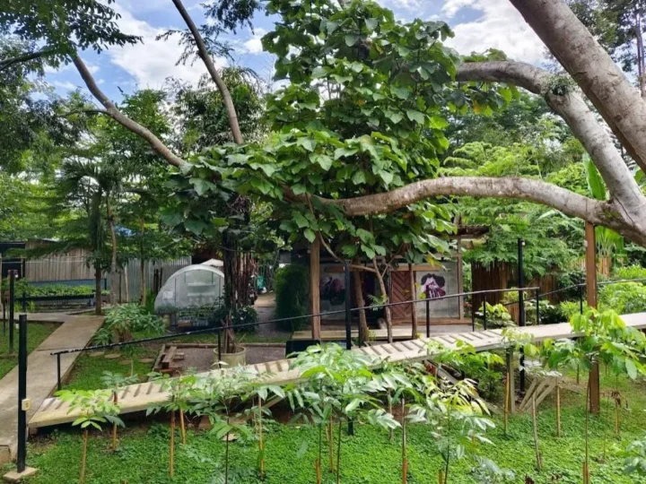 เข้าค่าย Café & Resort — มุม 3