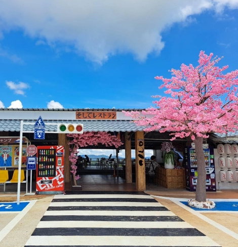 Fuji Camp Khaokho — มุม 1