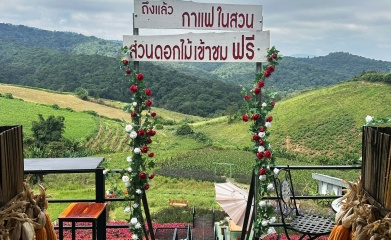 กาแฟในสวน @ภูทับเบิก — มุม 3