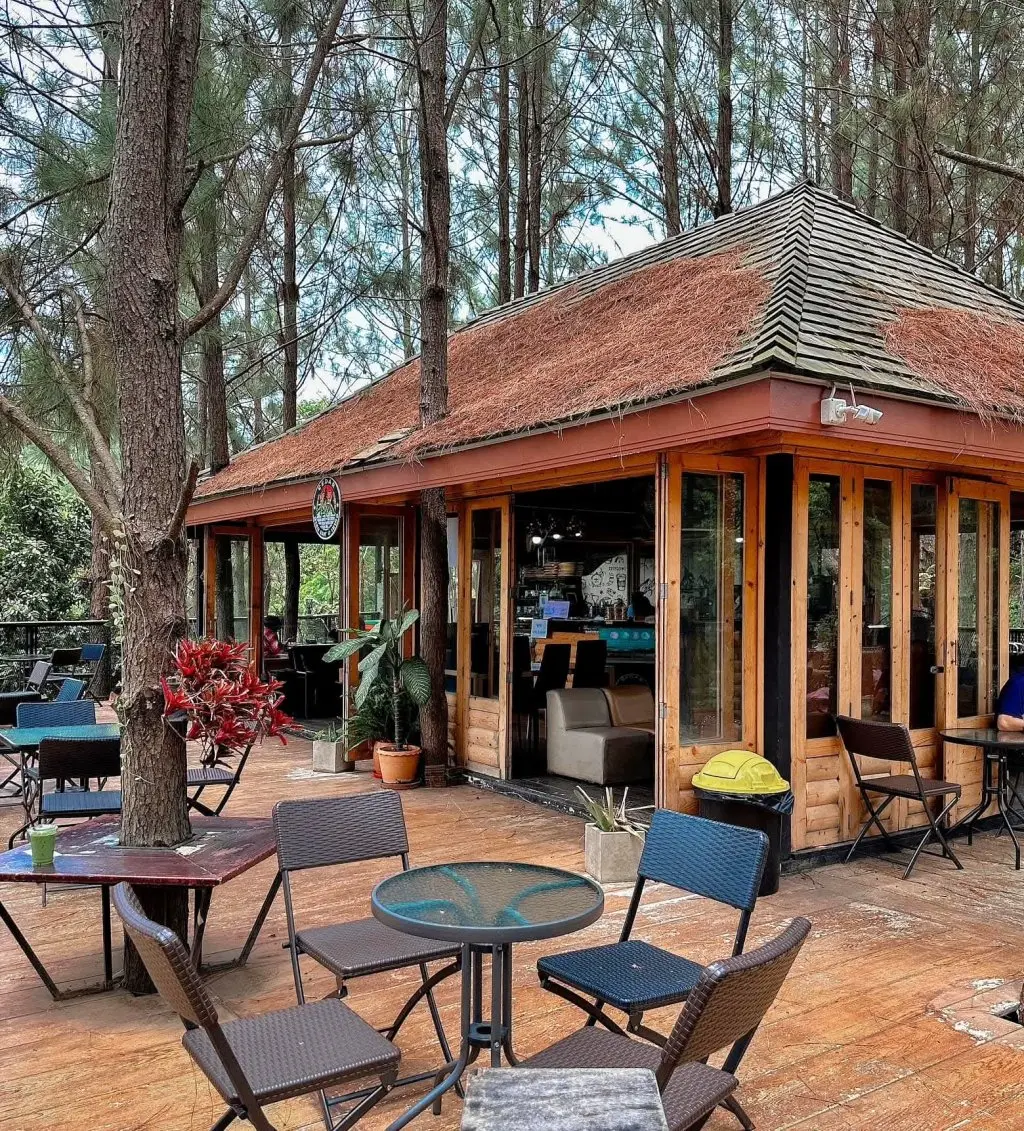 CEDAR ป่าสน CAFE — มุม 3