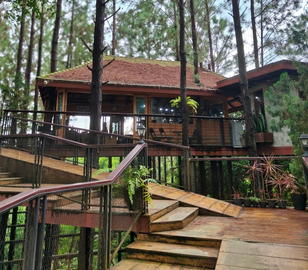 CEDAR ป่าสน CAFE — มุม 2