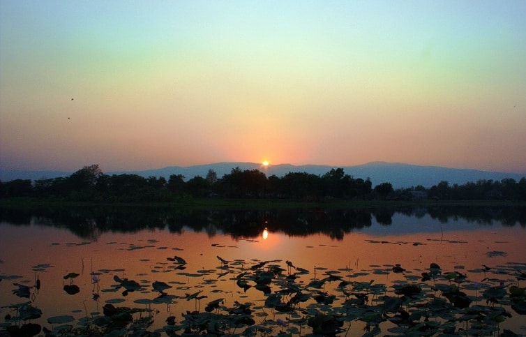 สวนรุกขชาติผาเมือง (หนองนารี) — ภาพจากคลังเดิม