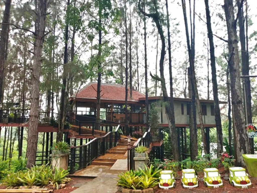 CEDAR ป่าสน CAFE — มุม 1