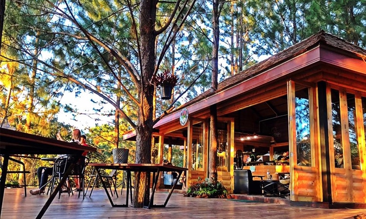 Cedar ป่าสน cafe’ at เขาค้อ