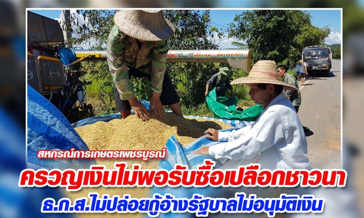 สหกรณ์การเกษตรเพชรบูรณ์ ขาดสภาพคล่อง ไม่มีเงินพอรับซื้อข้าวเปลือกชาวนา