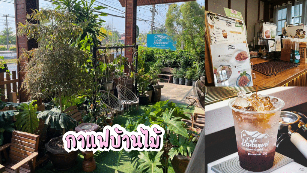กาแฟบ้านไม้ - Cafe Baanmai