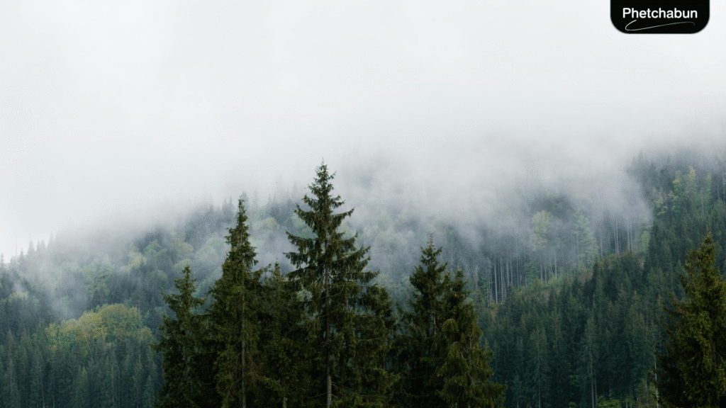 อากาศหนาวเย็นเริ่มปกคลุมเพชรบูรณ์ อุณหภูมิลดลง 4–7 องศา (2)